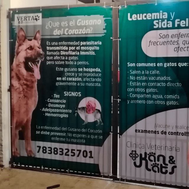 LONA