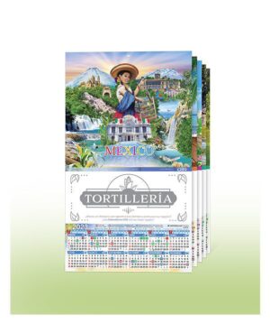 CALENDARIOS DE PARED, CARTULINA-GRANDE Serie i 20pz