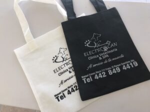 Bolsa Ecológica Plana